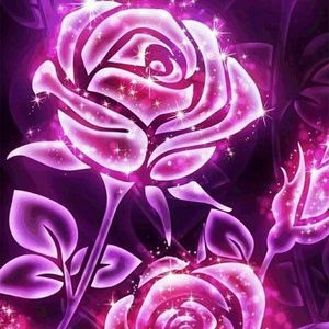 Meet your Posher, Barb